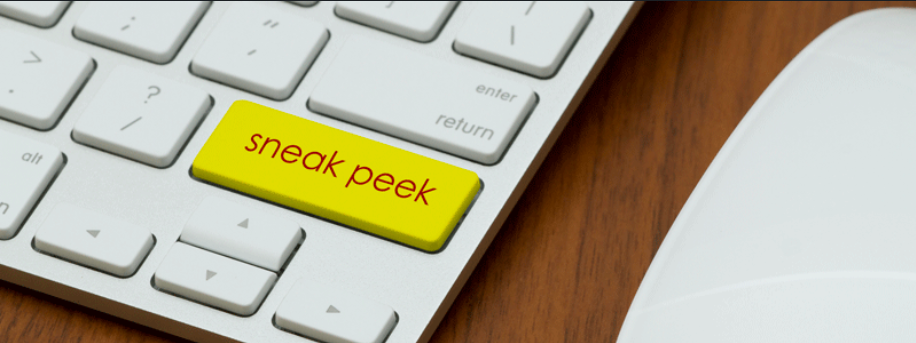 SAP IBP Sneak Preview 2502 Release